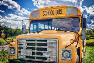 Servizi bus per le scuole (uscite didattiche e viaggi di istruzione)